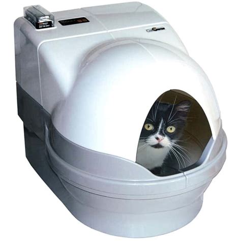 multi cat electric litter box|best cat litter box for multiple cats.